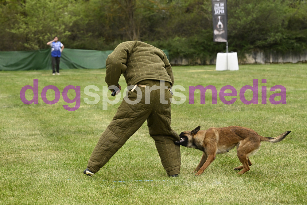 Preview _JRI_21726.jpg